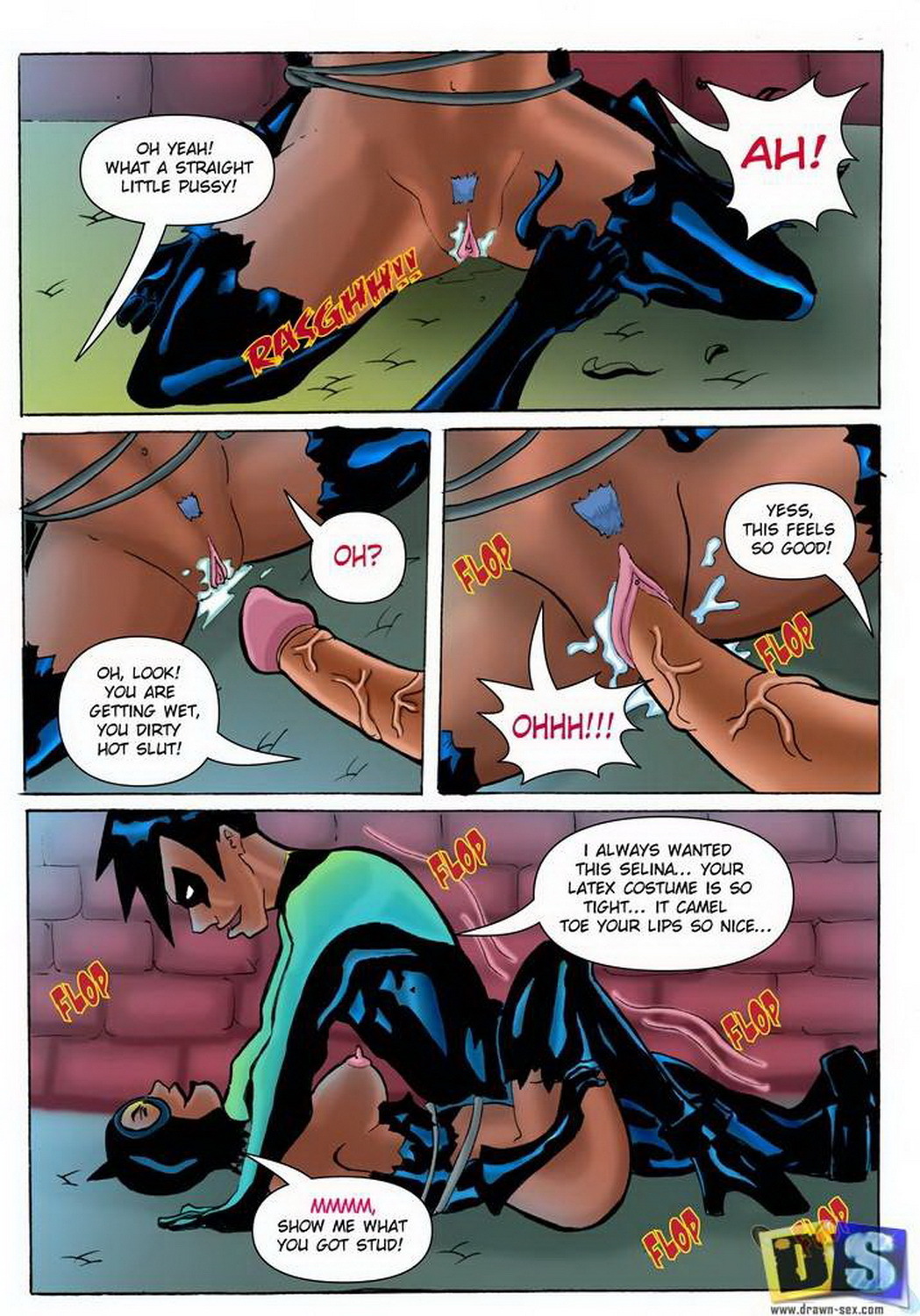 Nightwing and Catwoman Sex